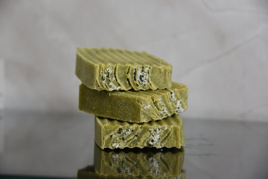 Under the Sea Salt Bar